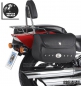 Preview: H&B C-Bow Satteltaschen NEVADA + Trägersystem - Harley Davidson Sportster Forty-Eight (-2020)